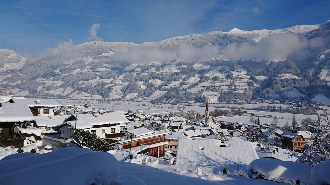 AreaWinter1KM AreaWinter1KM